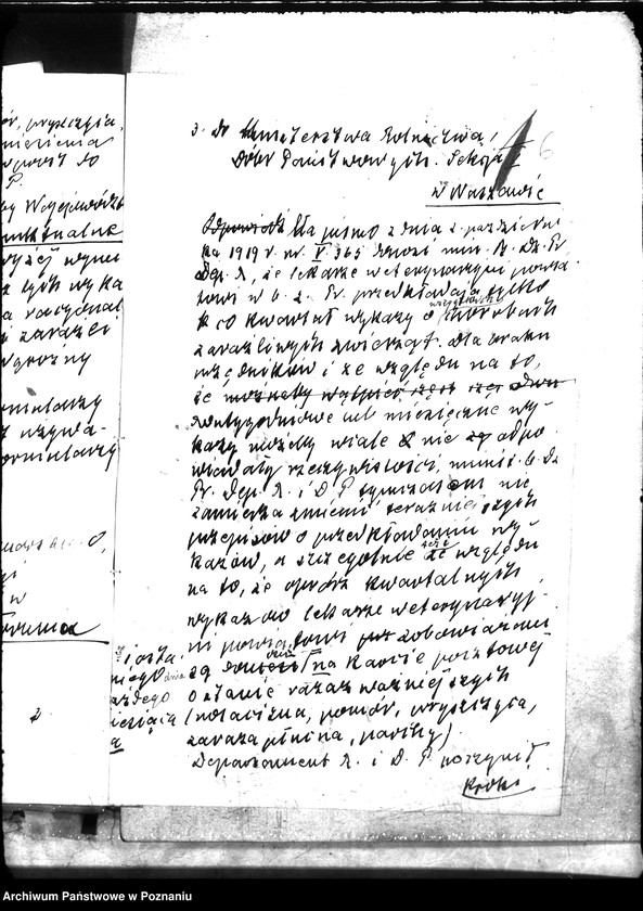 Obraz 13 z jednostki "Sprawy ogólne Wykazy chorób zaraźliwych; [księgosusz, zaraza płucna]"