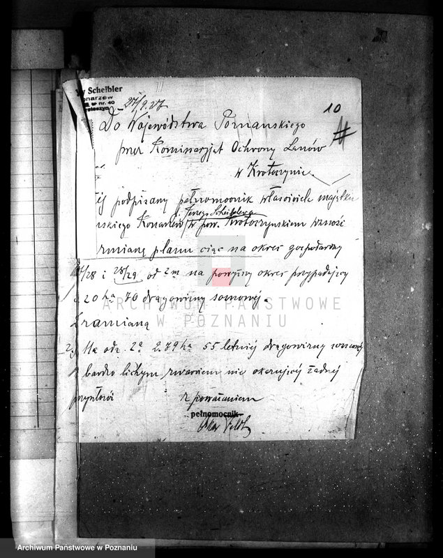 Obraz 15 z jednostki "Majętność leśna Konarzewo powiat krotoszyński"