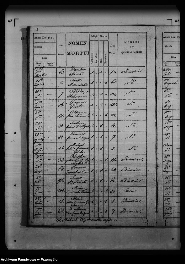 Obraz 11 z jednostki "[Kopie ksiąg metrykalnych parafii Buców (dekanat Medyka)]"