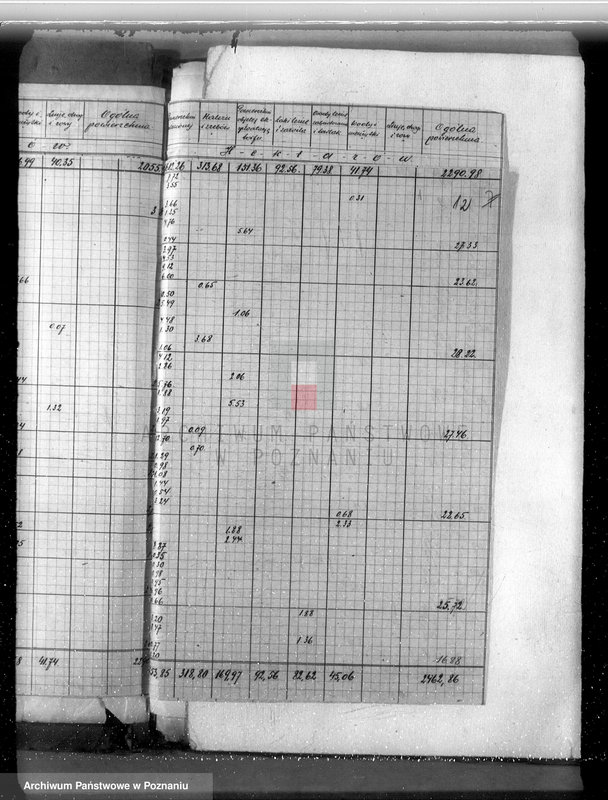 Obraz 16 z jednostki "Plan gospodarstwa leśnego dla lasów majątku Kazimierz Biskupi powiat słupecki"