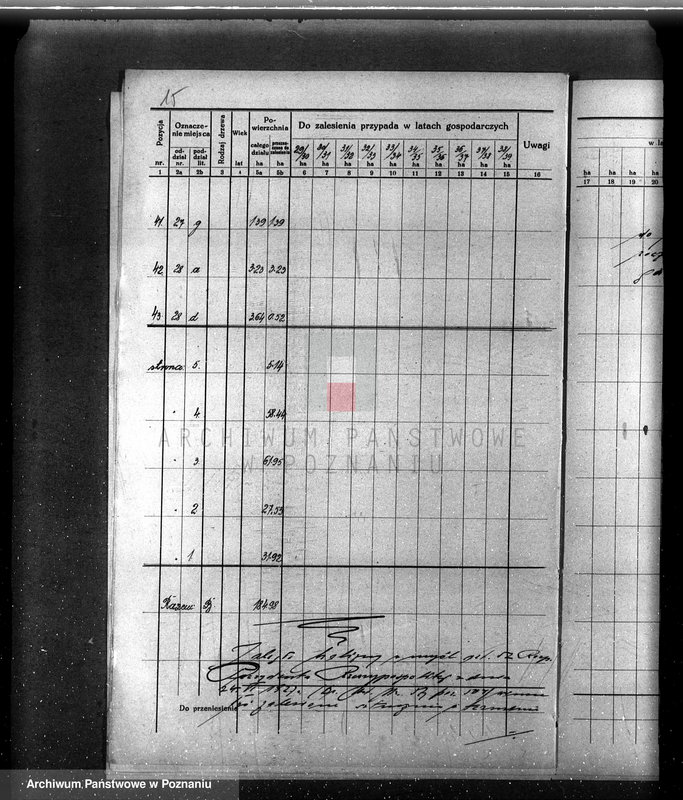 Obraz 19 z jednostki "/Opis lasu majętności Sławno w powiecie czarnkowskim/"