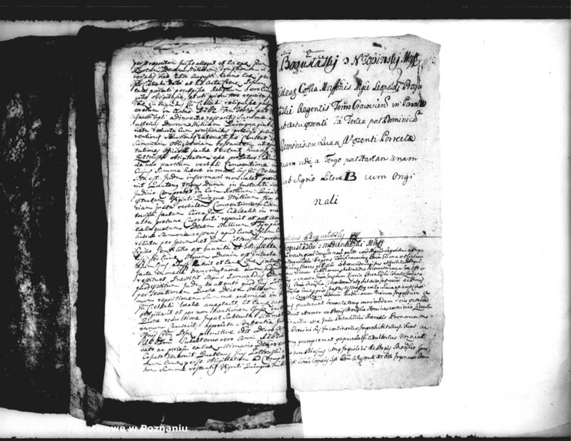 Obraz 5 z jednostki "Relationes [protocollon]"