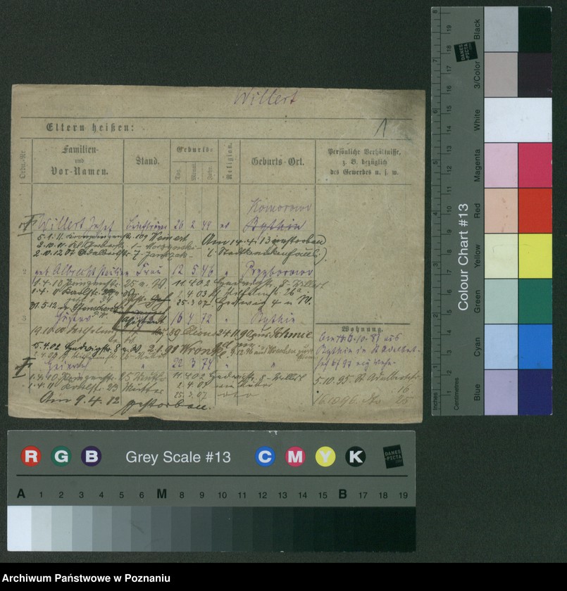 Obraz 6 z jednostki "Wilert - Wilke"