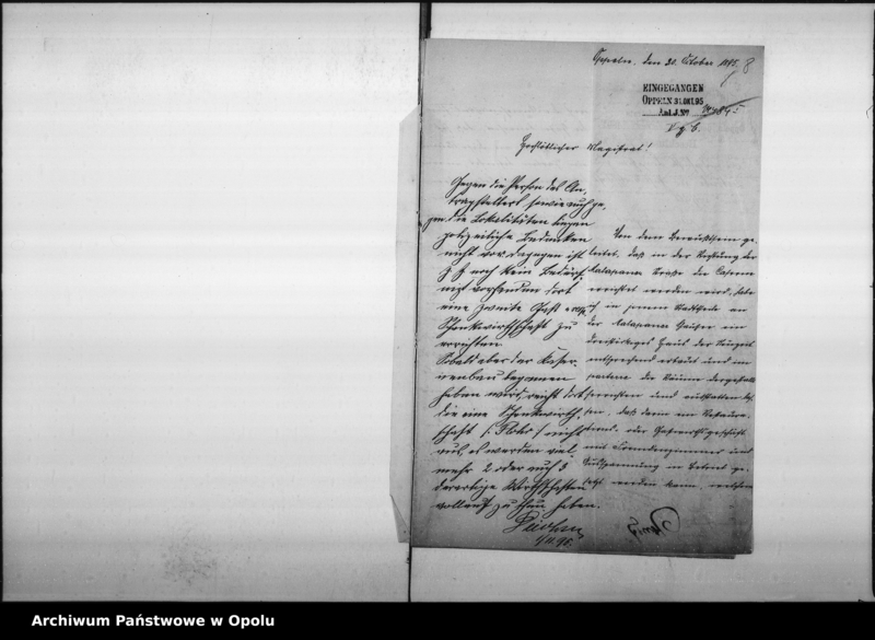 Obraz 11 z jednostki "Acta des Magistrats zu Oppeln betreffend die Gastwirtschaft an der Malapaner-Chaussee von Klusche Vol. I"