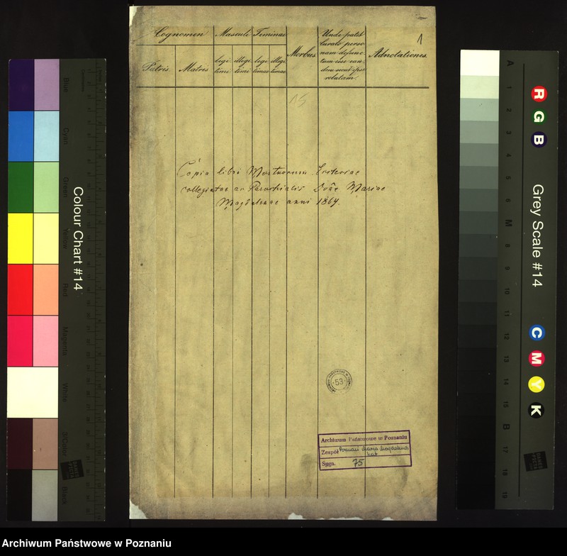 Obraz 3 z jednostki "Księga zgonów"