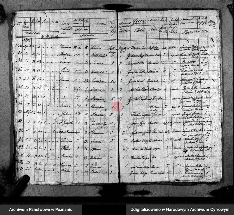 image.from.unit.number "Duplikat baptisatorum, copulatorum, mortuorum"