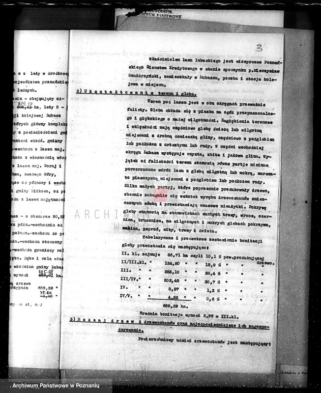 Obraz 7 z jednostki "Nadzór nad lasami/ majątku Lubasz powiatu czarnkowskiego"