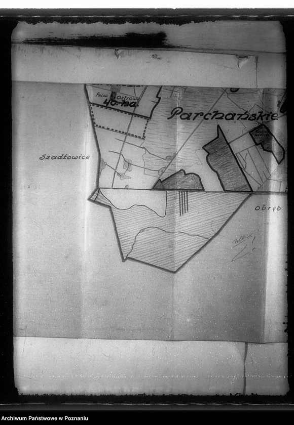 image.from.unit.number "Wierzbiczany powiat inowrocławski wyłączenie z art. 4 i 5 właścicielka Helena Schlichtnigowa"