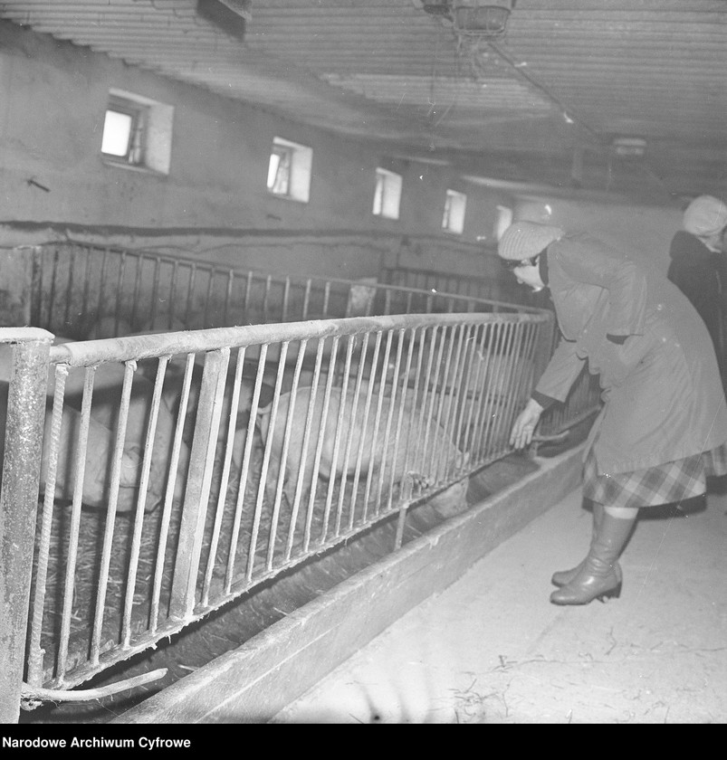 image.from.unit.number "Spółdzielnia Kółek Rolniczych w Jasieńcu"