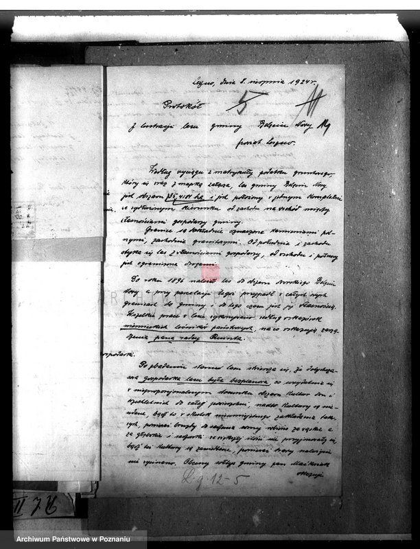 Obraz 18 z jednostki "Las gromady Belęcin-Nowy powiat leszczyński"