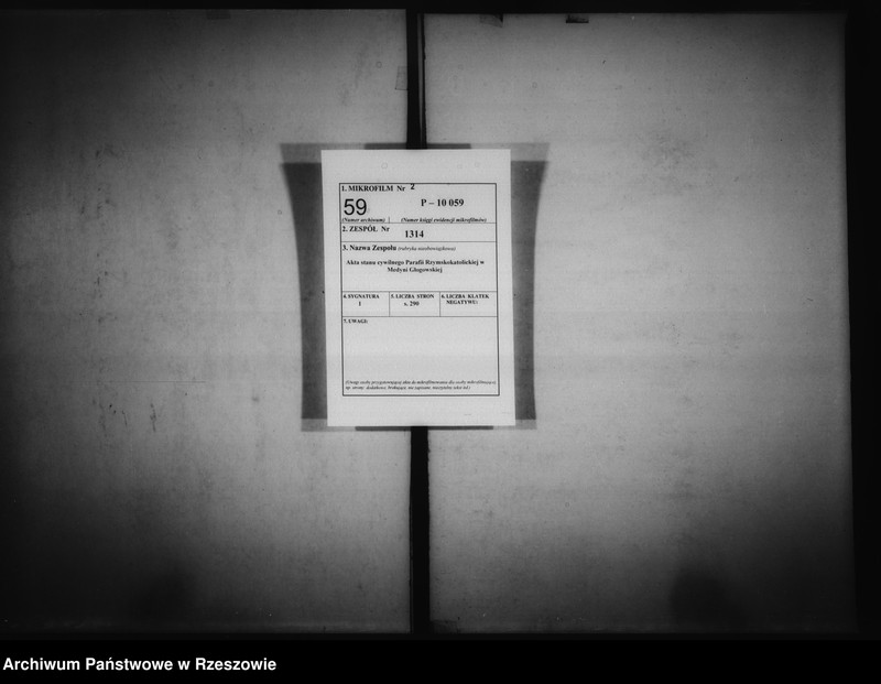 image.from.unit.number "Księga urodzeń Medynia Głogowska i Medynia Łańcucka"