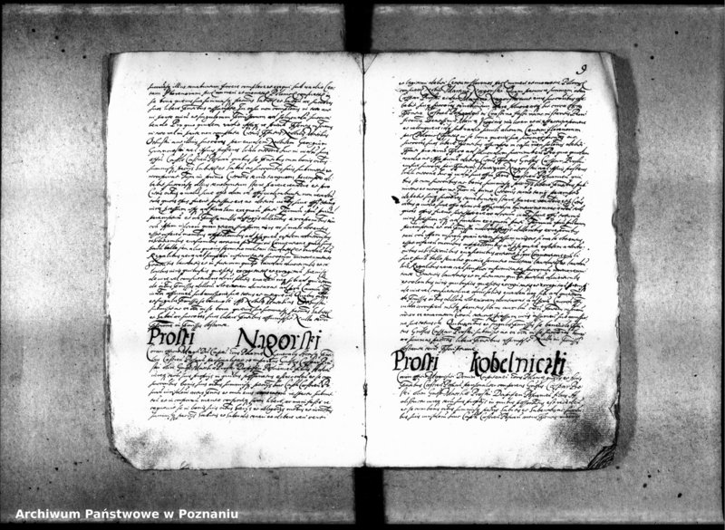 Obraz 12 z jednostki "Inscriptiones [inducta]"