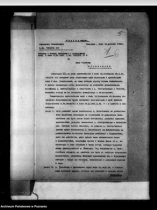 Obraz 11 z jednostki "Zaraza stadnicza"