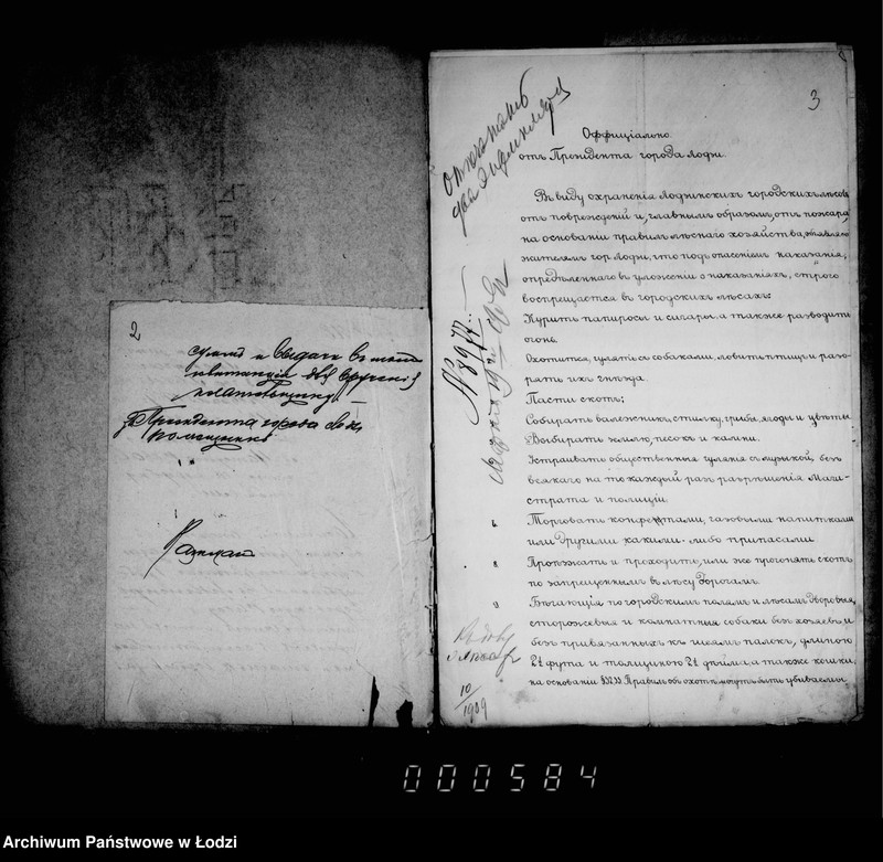 Obraz 6 z jednostki "O porubkach i kraže derevev v gorodskich gorodskich lesach"