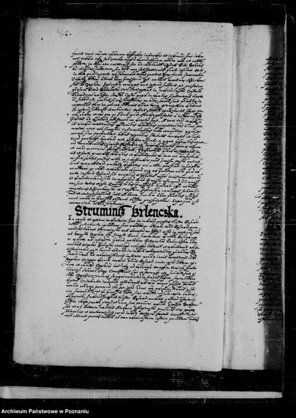 Obraz 11 z jednostki "Inscriptiones, relationes, decreta [inducta]"