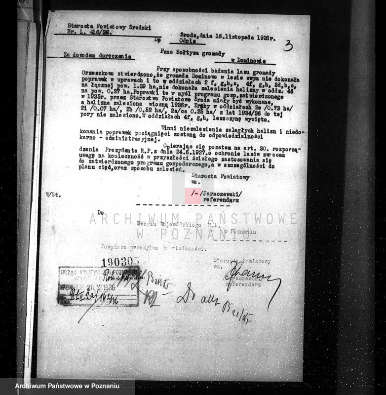 Obraz 7 z jednostki "Las gromady Dominowo powiat średzki"