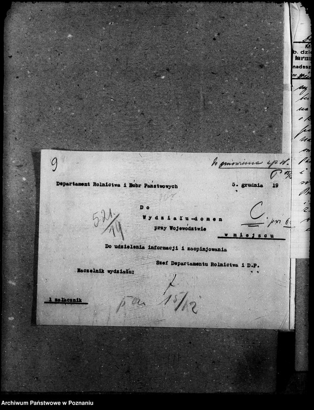 image.from.unit.number "Województwo poznańskie Wydział domen"