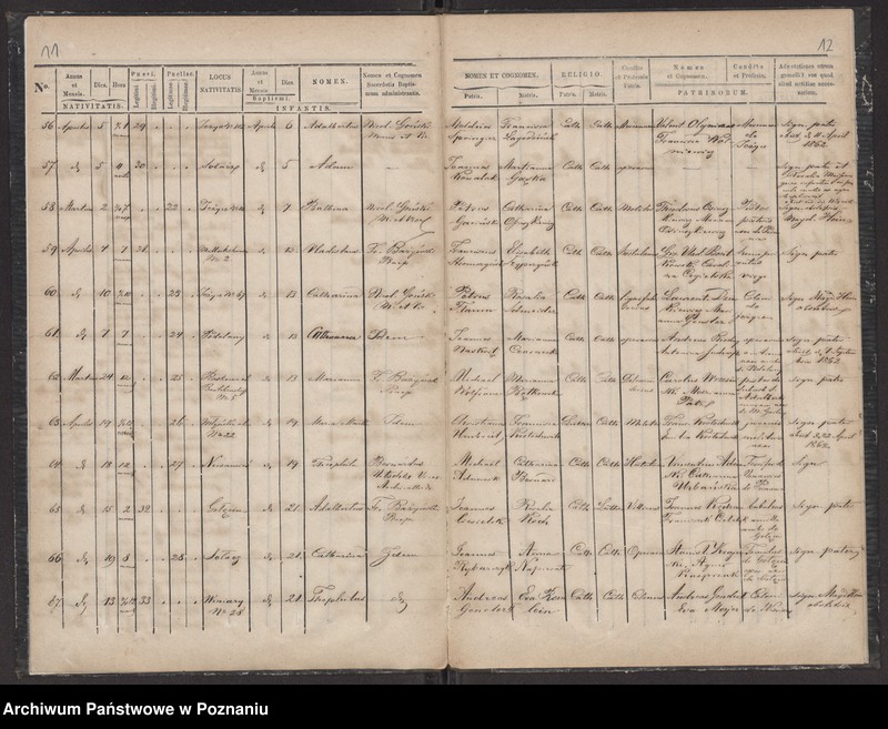 Obraz 8 z jednostki "Księga urodzin"