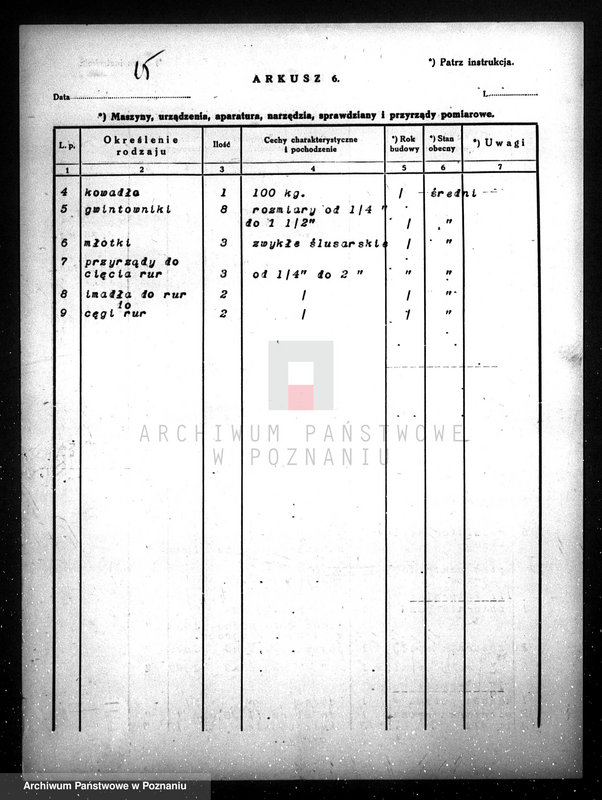 Obraz 19 z jednostki "Gazownia Miejska w Międzychodzie kwestionariusz"