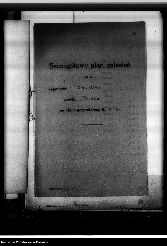 Obraz 16 z jednostki "Program urządzenia gospodarstwa leśnego lasu majętności Owińska powiat poznański"