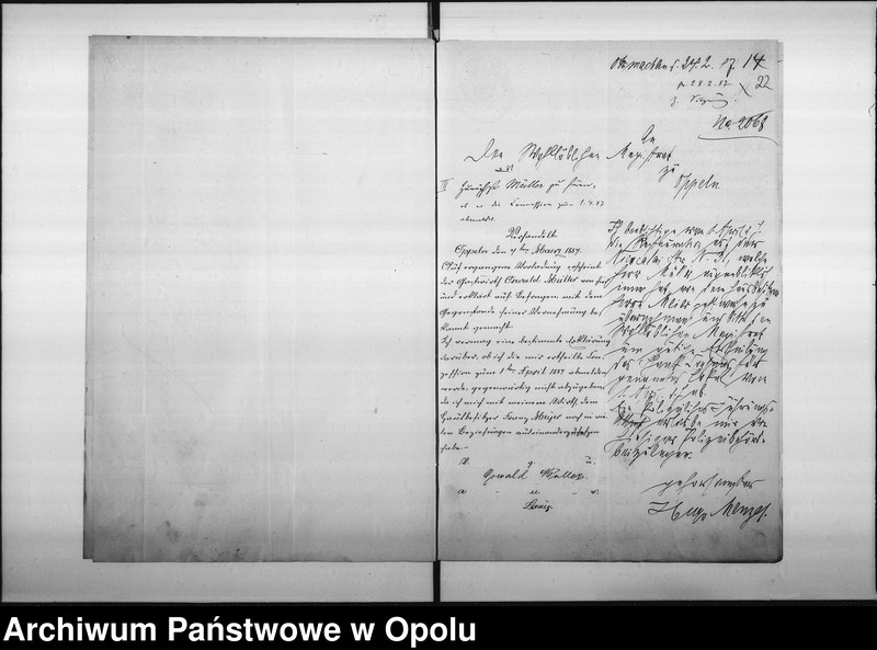 Obraz 20 z jednostki "Acta des Magistrats zu Oppeln betreffend die Schank-Anlage in Rademacher