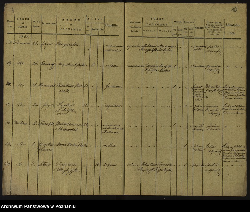 Obraz 8 z jednostki "Księga zgonów"