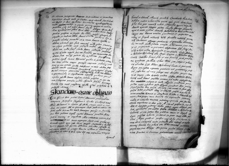 Obraz 20 z jednostki "Inscriptiones [inducta]"