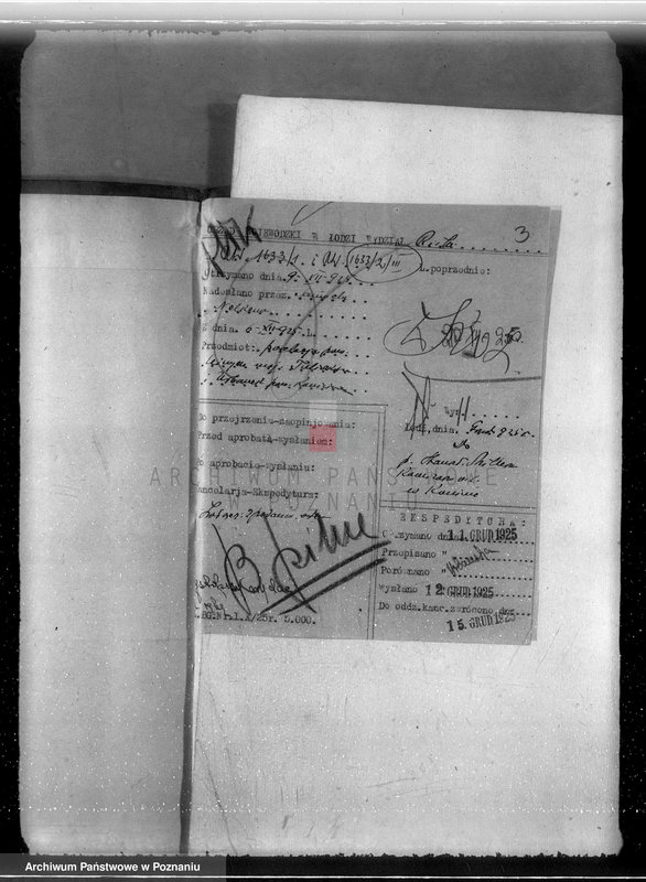 Obraz 7 z jednostki "Gmina Rzgów powiat koniński /nadzór nad gospodarką leśną/"