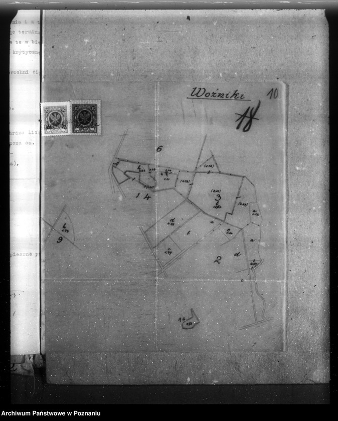Obraz 14 z jednostki "Majętność leśna Kotowo-Wożniki powiat nowotomyski"