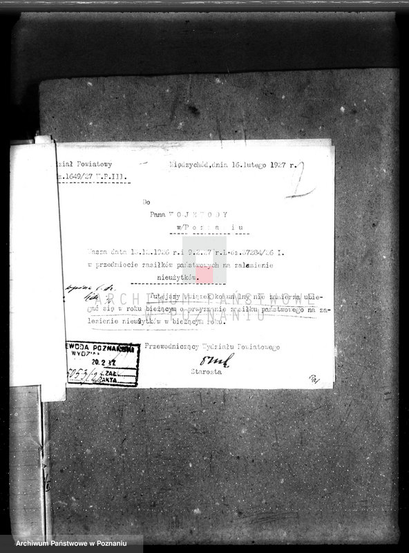 Obraz 6 z jednostki "Zalesienie nieużytków w powiecie międzychodzkim"