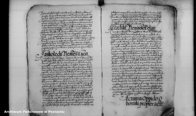 Obraz 15 z jednostki "Inscriptiones [inducta]"