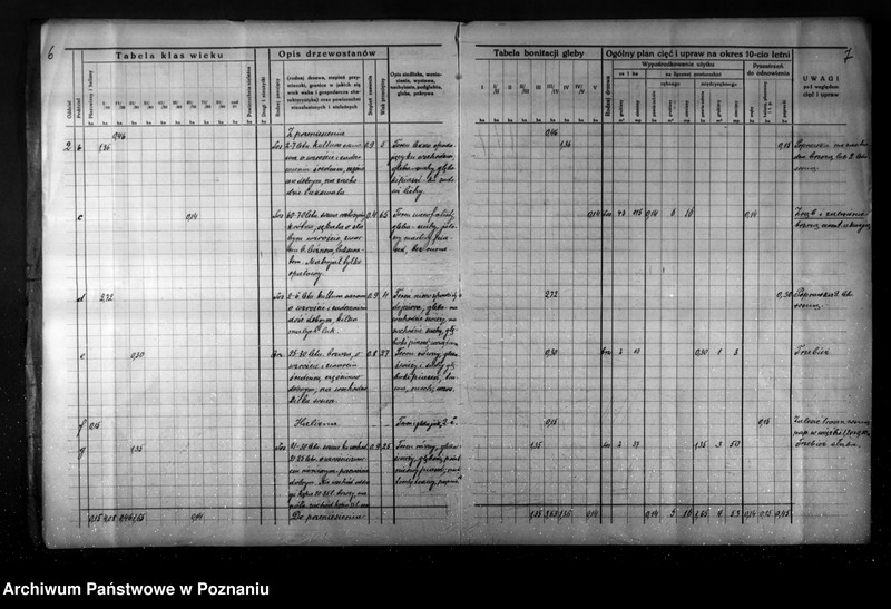 Obraz 8 z jednostki "Plan gospodarstwa leśnego dla lasu Jaegera Waltera gmina Zatom Nowy powiat międzychodzki 1933-1944"