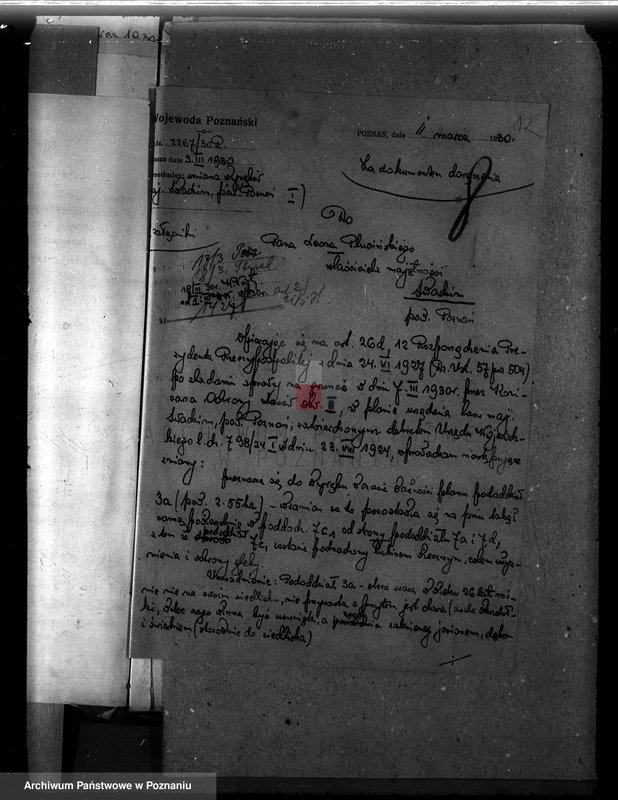 Obraz 16 z jednostki "Majętność leśna Swadzim powiat poznański"