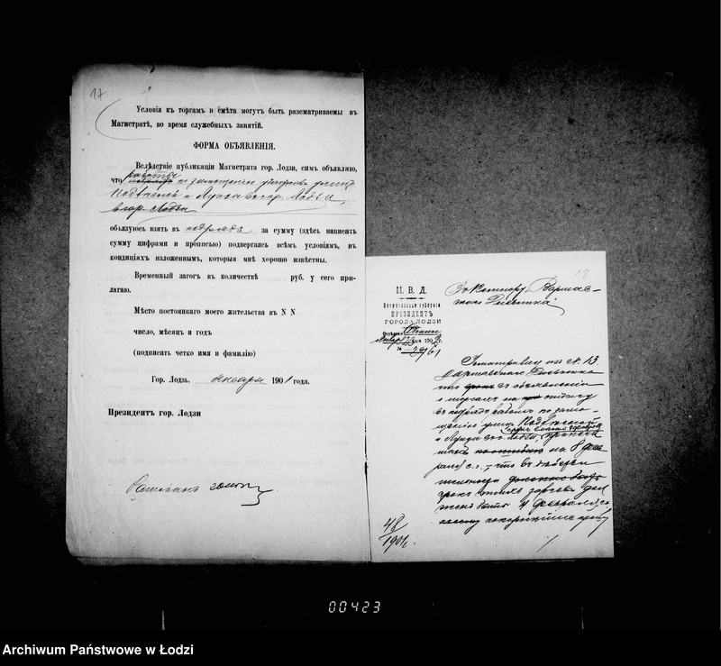 Obraz 16 z jednostki "O zamoščenji ulic: Luizy i Podlesnoj"