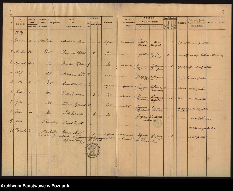 Obraz 4 z jednostki "Duplicat defunctorum"