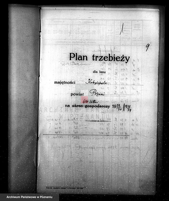 Obraz 13 z jednostki "Program urządzenia gospodarstwa leśnego dla lasu majętności Kobylepole powiat poznański 1933/34-1938/39"