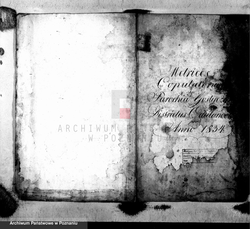 image.from.unit.number "Metrices copulatorum"