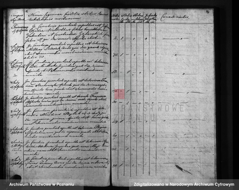 Obraz 11 z jednostki "Liber mortuorum"