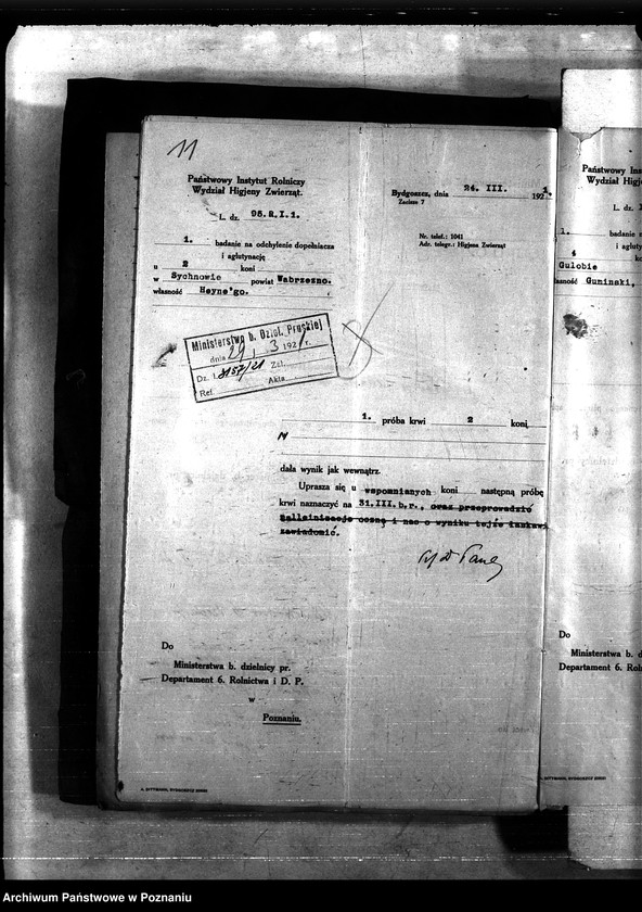 Obraz 15 z jednostki "Nosacizna - Wąbrzeźno"