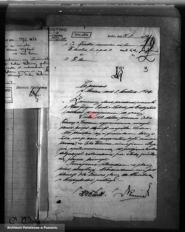 Obraz 7 z jednostki "Majętność leśna Niemierzewo w powiecie międzychodzkim"