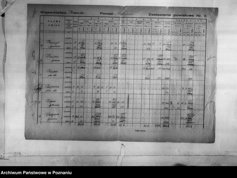 Obraz 20 z jednostki "/Statystyka produkcji rolnej - zestawienie powiatowe - Międzychód/"