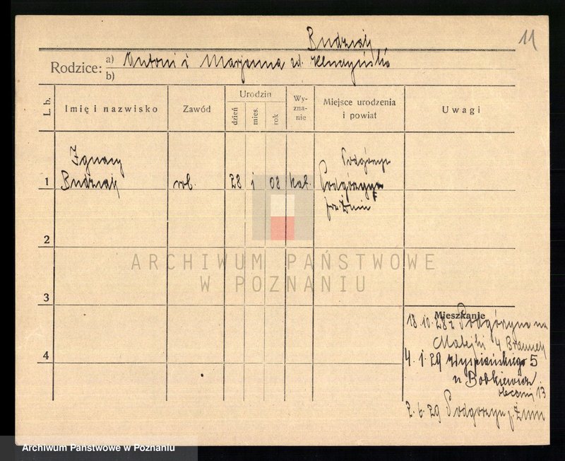 Obraz 13 z jednostki "Budz - Bujwid"