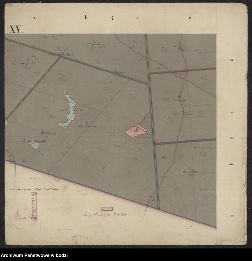 Obraz 14 z jednostki "Pierworys pomiaru dóbr prywatnych Nieborów składających się z folwarków Nieborów, Zygmuntów, Łasieczniki, Jasionna, Wólka Łasiecka, Kaczew, Polesie, Chyleniec ... oraz przyległych lasów ..."