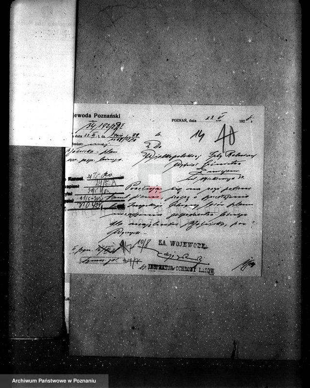 Obraz 19 z jednostki "Majętność leśna Kostrzynek-Mościska powiat wyrzyski"