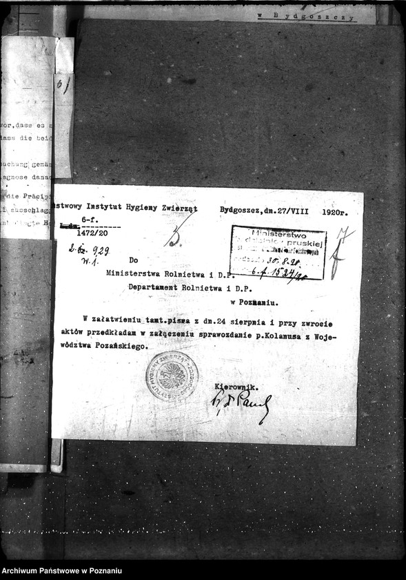 Obraz 11 z jednostki "Sprawy ogólne wąglik, szelestnica i zaraza dziczyzny"