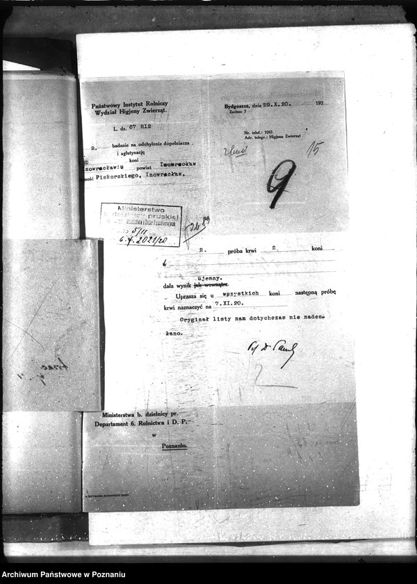 Obraz 20 z jednostki "Nosacizna - Inowrocław"