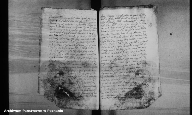 Obraz 19 z jednostki "Decreta officii [inducta]"