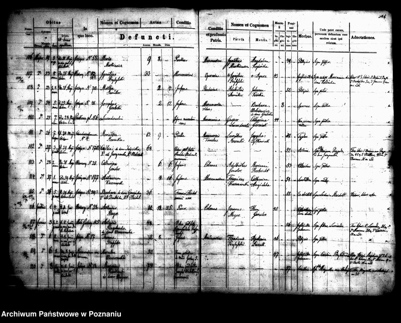 Obraz 10 z jednostki "Księga zgonów"