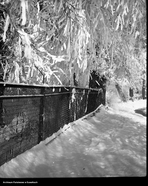 image.from.unit.number "Oszronione drzewa"