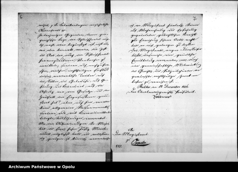Obraz 8 z jednostki "Acta des Magistrats zu Oppeln betreffend den an das Königliche Ober - Landes - Gericht zu Ratibor erstatteten gutachtlichen Bericht über die Haupt - Ursachen der im Jahre 1835 verübten Verbrechen pp."